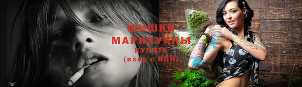 гидра Арсеньев