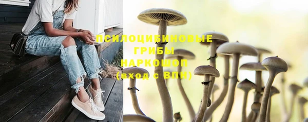 хмурый Армянск