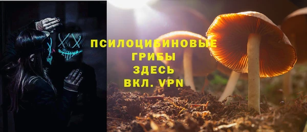 хмурый Армянск