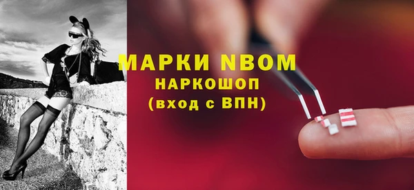 гидра Арсеньев