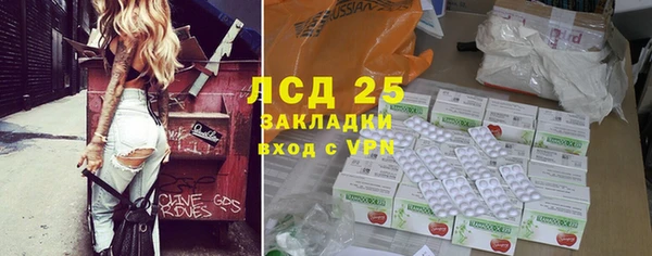 ГАЛЛЮЦИНОГЕННЫЕ ГРИБЫ Алексин