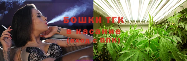 гидра Арсеньев