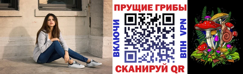даркнет сайт  Дзержинский  Галлюциногенные грибы Psilocybe 